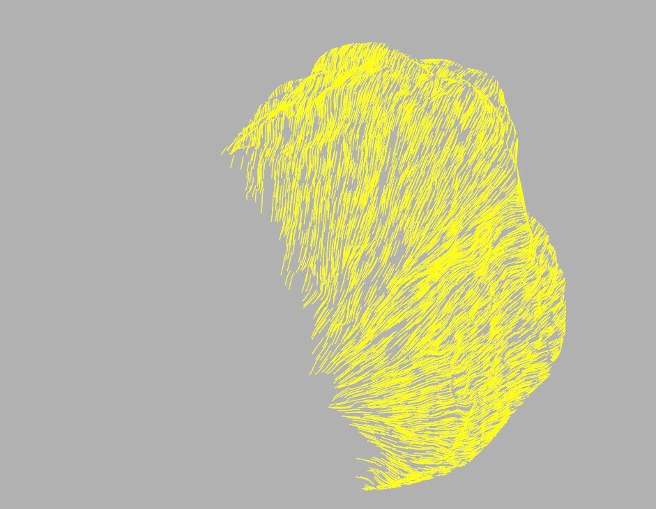 Lignes de la planche jaune