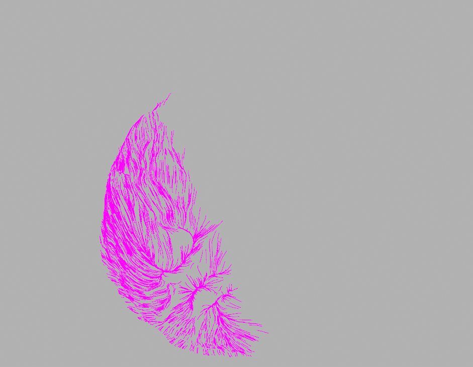Lignes de la planche magenta